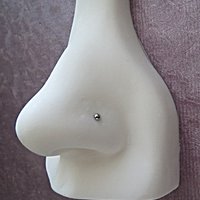 Domed Nose Stud, 316L Surgical Steel Nose Ring, Great Everyday Nose Stud for Men or Women