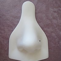 Domed Nose Stud, 316L Surgical Steel Nose Ring, Great Everyday Nose Stud for Men or Women